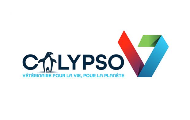 logo CALYPSO