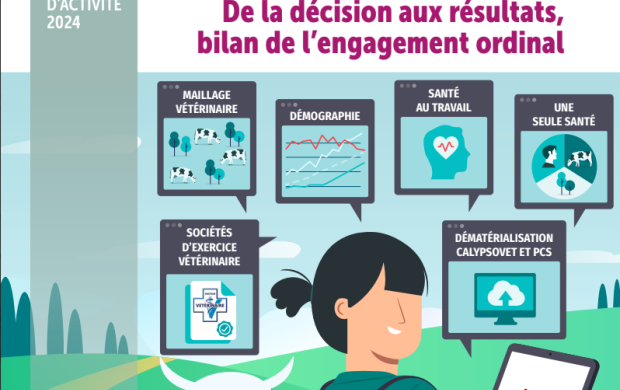 Couverture du rapport d'activité 2024