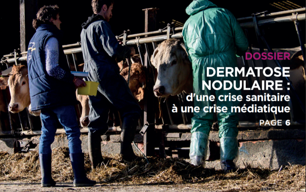 Revue de l'Ordre n°96