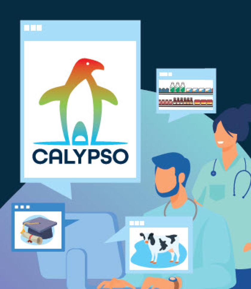 La plateforme Calypso