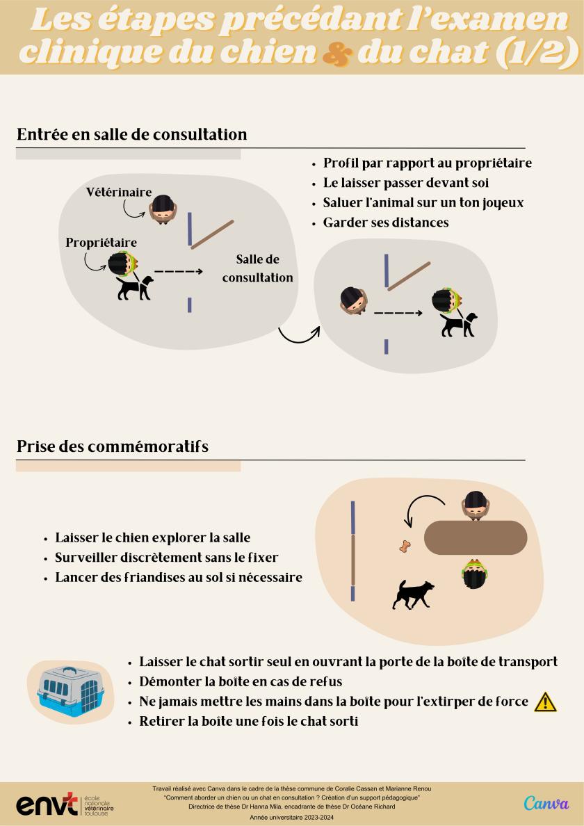 Les étapes précédant l’examen clinique du chien et du chat