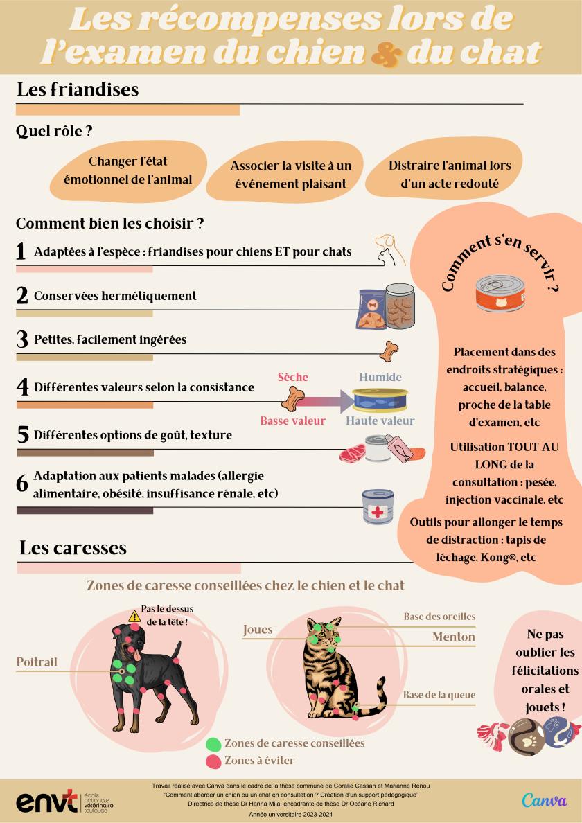 Les récompenses lors de l’examen du chien et du chat