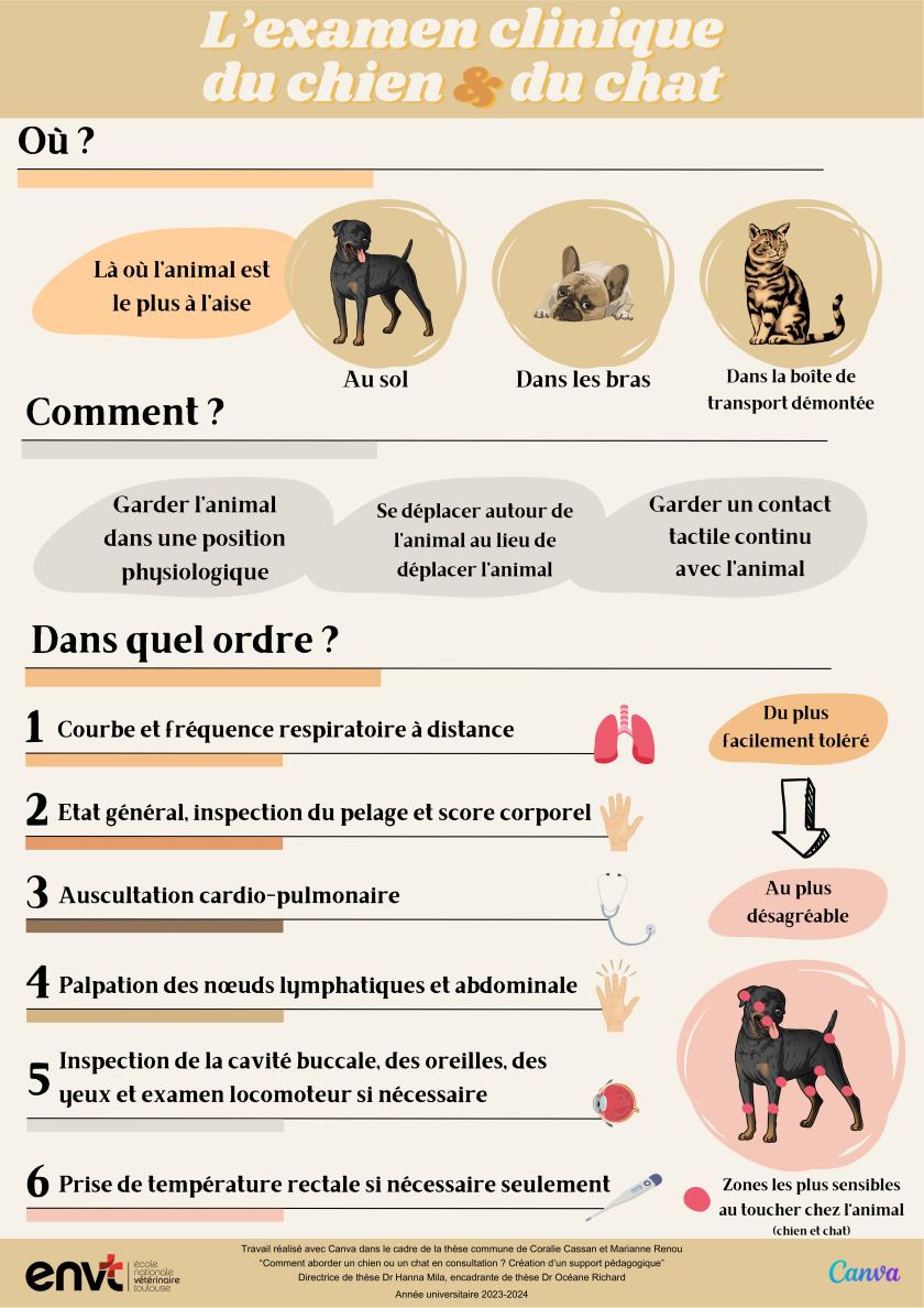 L’examen clinique du chien et du chat