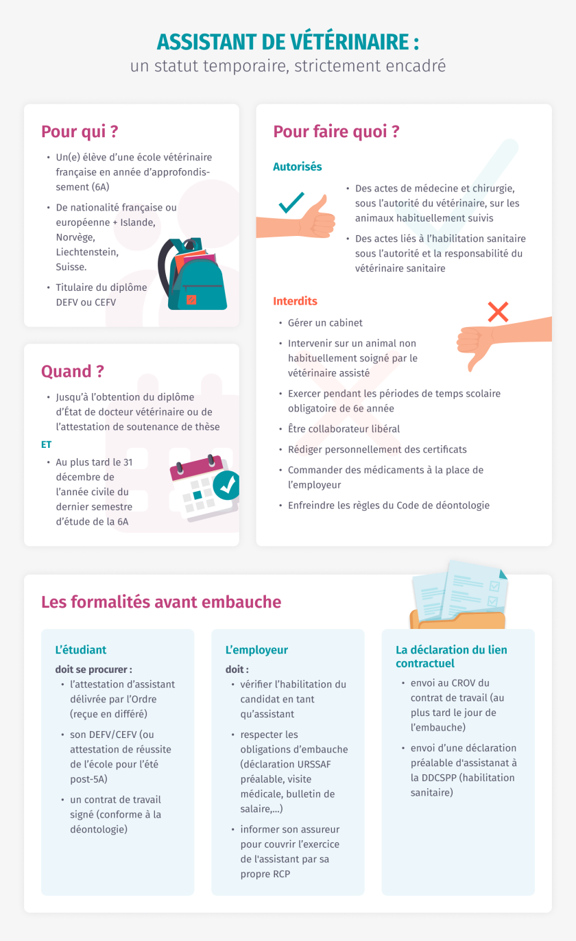 L'assistant de vétérinaire